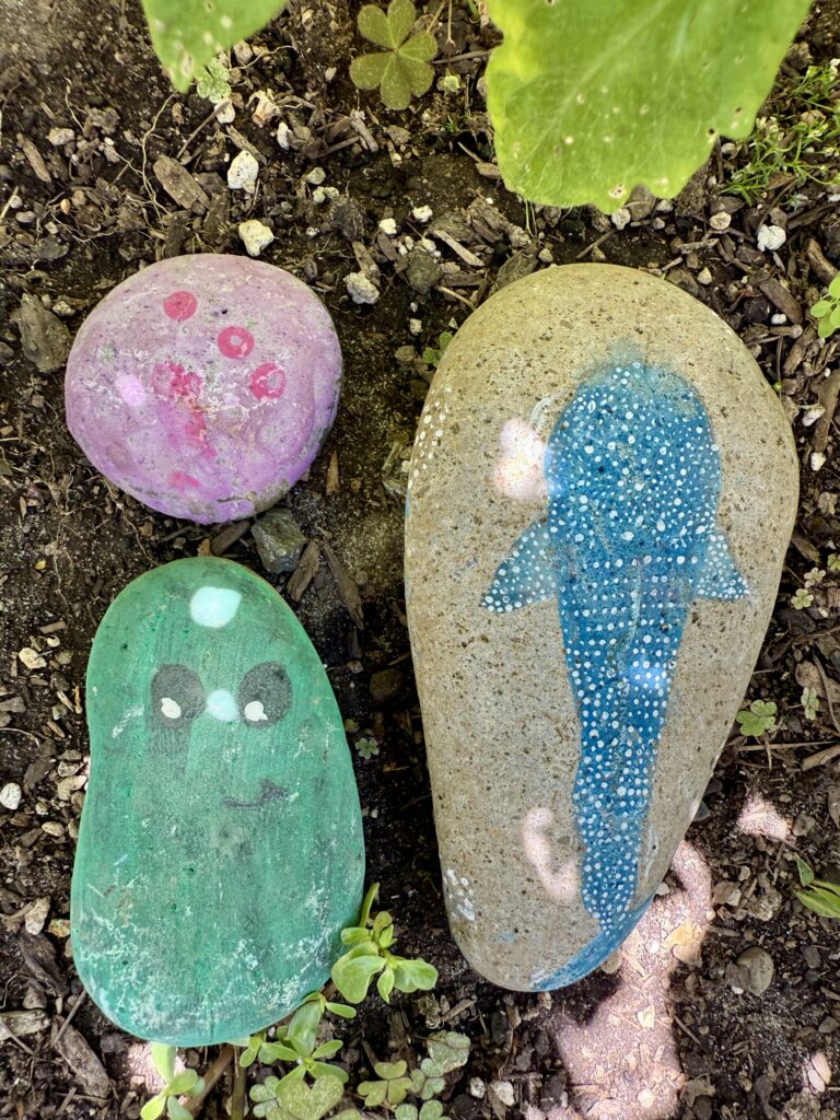 Image of 3 painted rocks (pattern, pickle, and shark) with garden dirt in the background. 