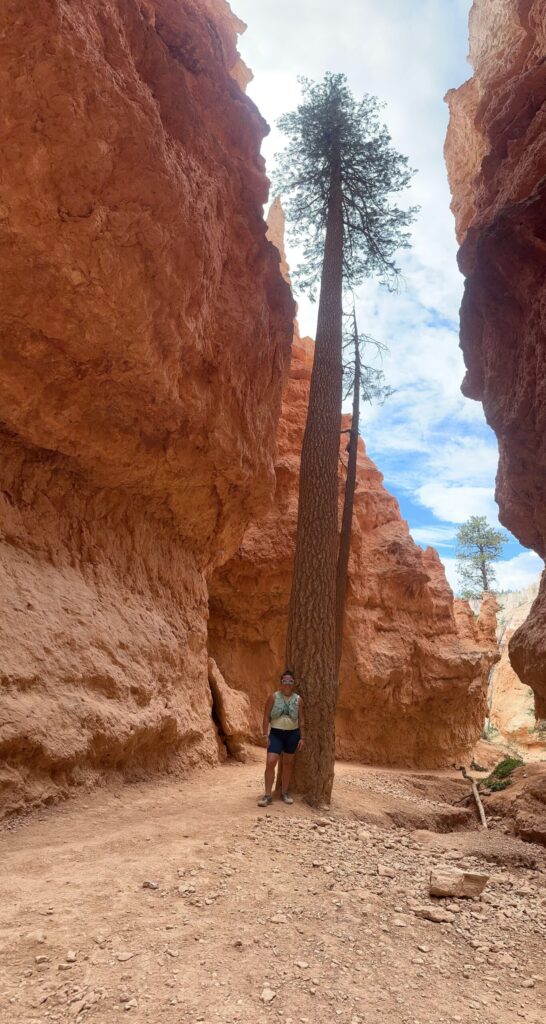 Image of woman hiking, standing next to a tree surrounded by rocks. 